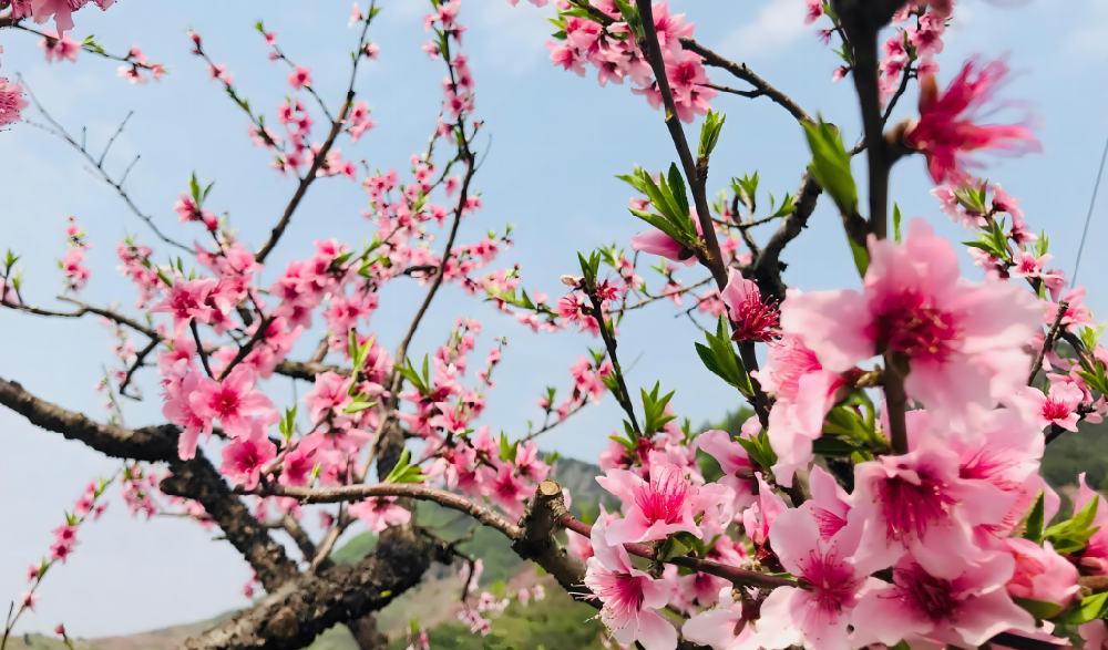 曼林热溶胶 | 欢迎广大新老客户咨询下单